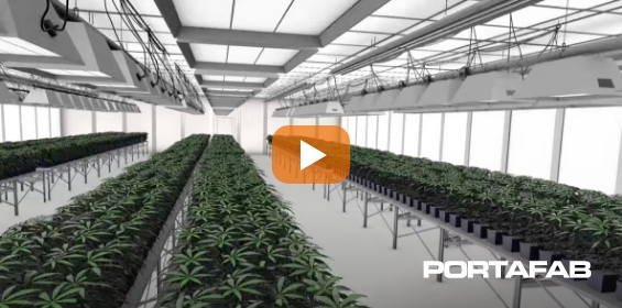 Cultivation Rooms for the Cannabis Industry