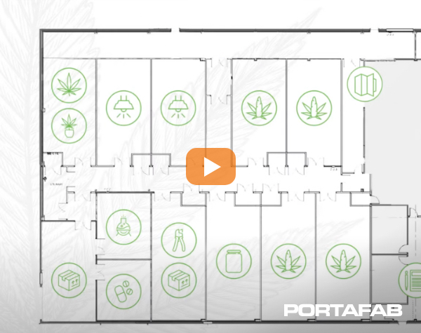 ideal grow conditions video thumbnail