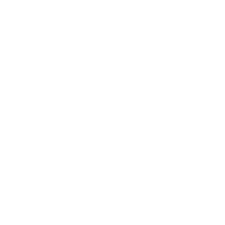 non-combustable icon