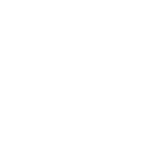 prescription icon