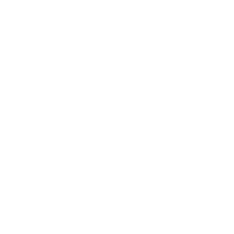 Thermal and Acoustic Insulation Icon