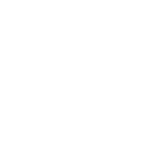 Window Icon