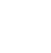 professional finish icon